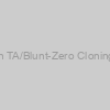 5min TA/Blunt-Zero Cloning Kit